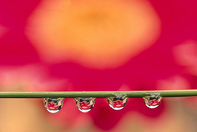 03-0 (25).jpg