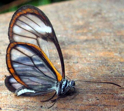 03-1 (40).jpg