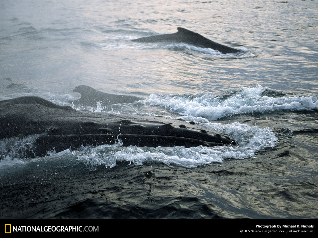 MM7095_0057.jpg