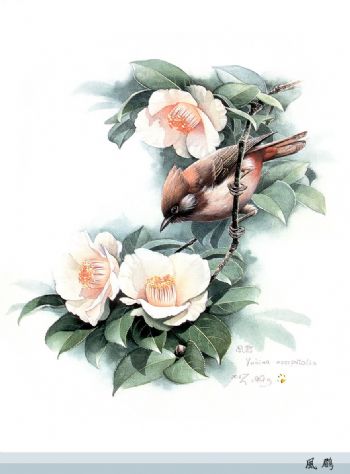 M_BLTB0119GXY5C_NjgMuPtVAsge.jpg