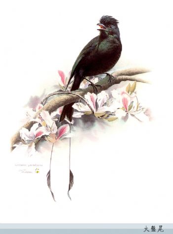 M_BLTB015ITVXR9_lnwhIJn0u7Ln.jpg