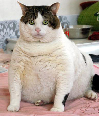 Q10.jpg