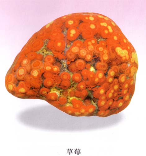 A1 (14).jpg