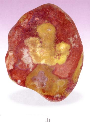 A1 (178).jpg