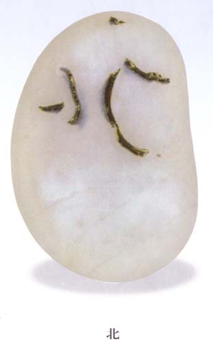 A1 (182).jpg