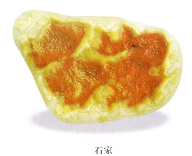 A1 (184).jpg