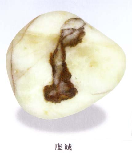 A1 (198).jpg