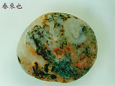 A1 (10).jpg