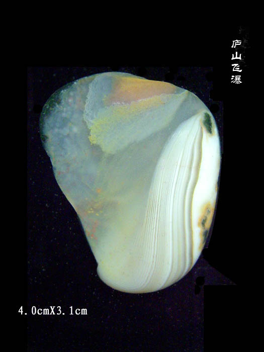 A1 (347).jpg