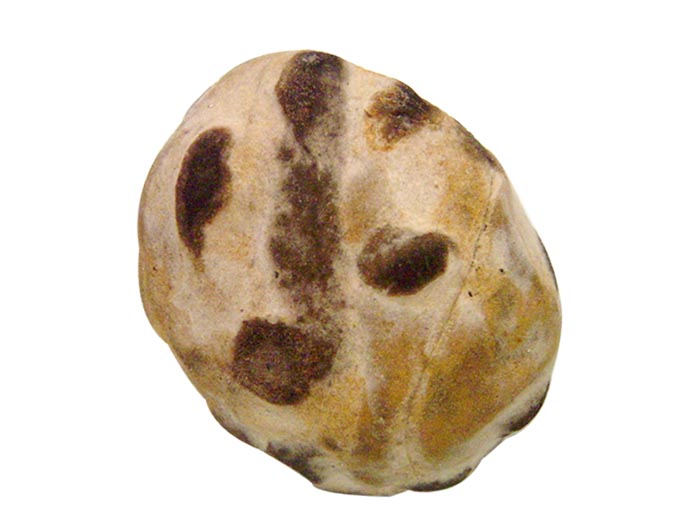 A1 (386).jpg