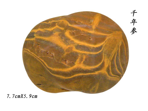A1 (395).jpg