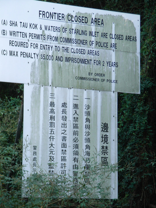 RIMG9551.JPG