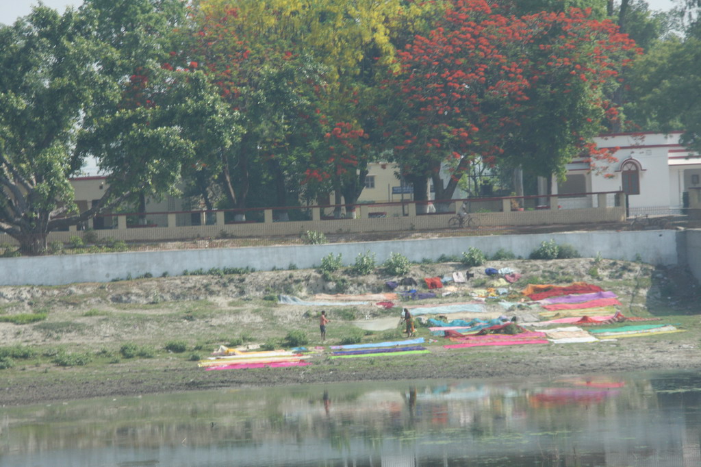 IMG_8346_大小 .JPG