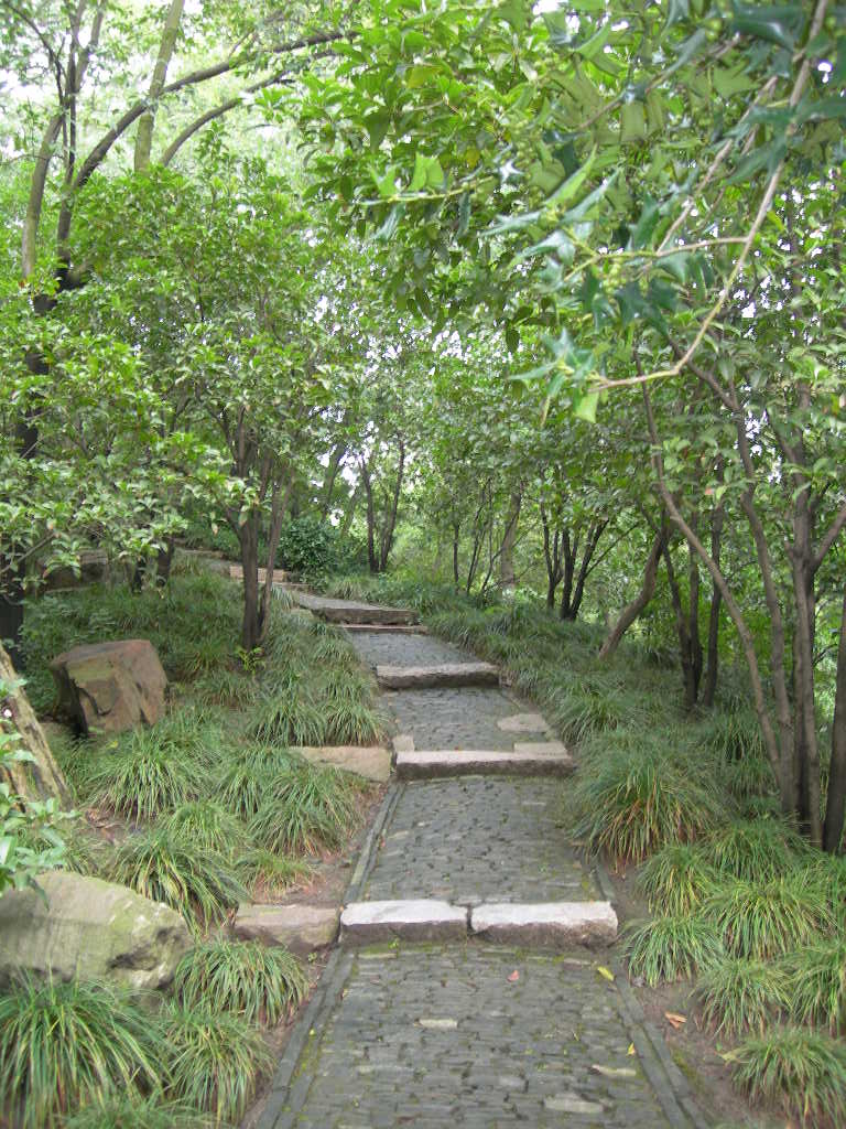 踏上悠悠的小石板路，不知道通向何方。