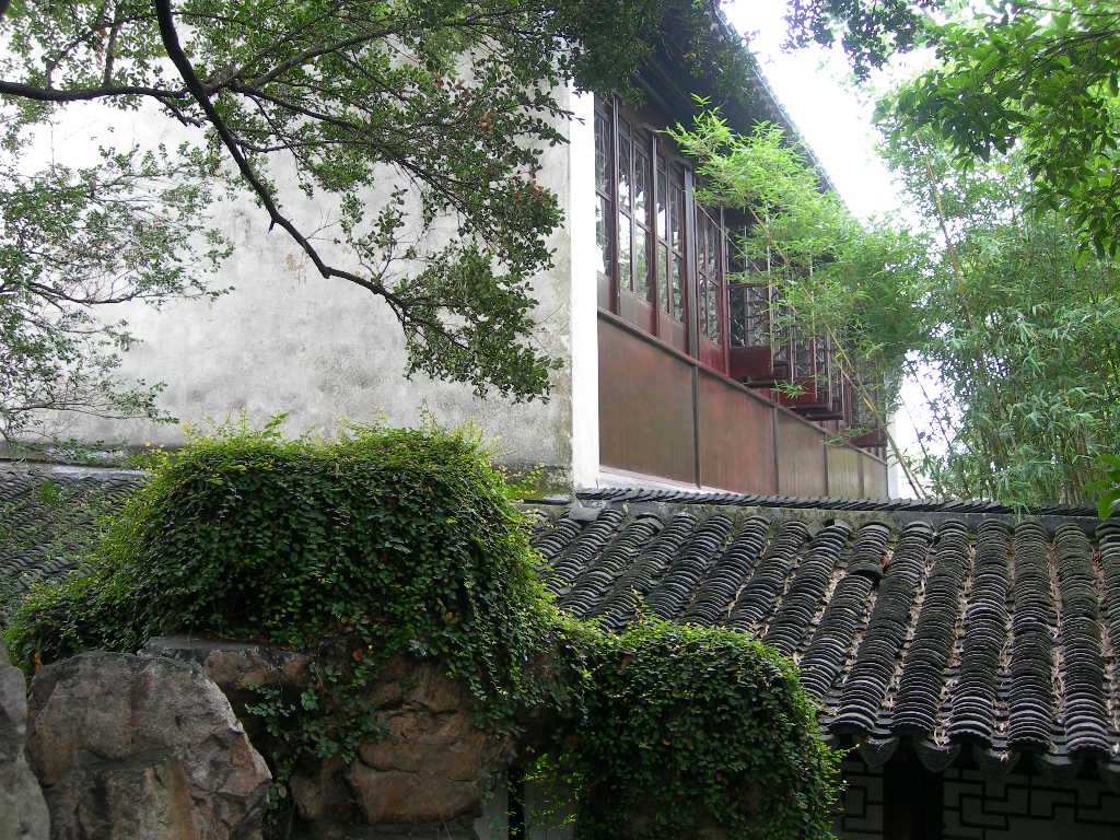 不知是誰家的院子