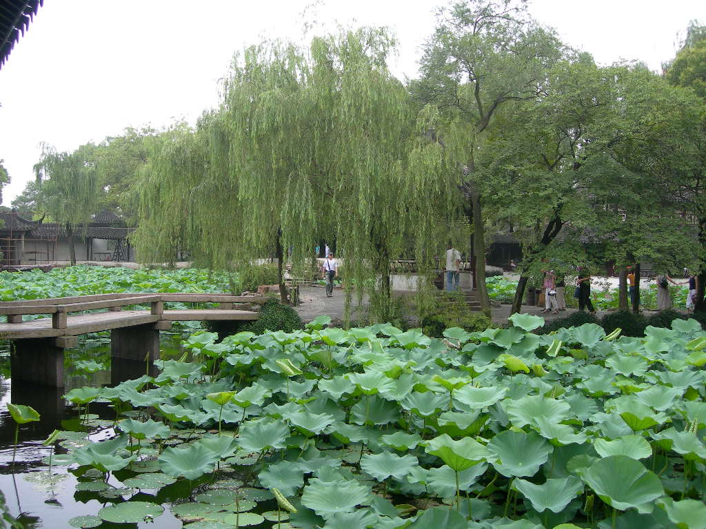九曲橋