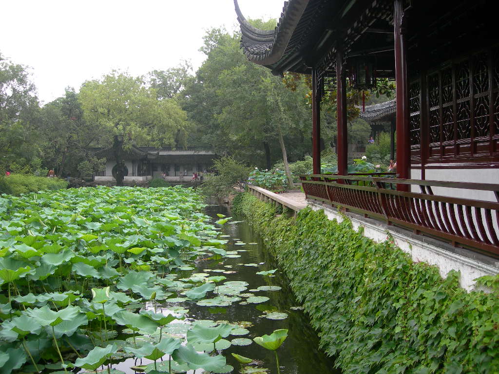 水下還有戲水的魚兒呢