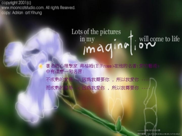 Z3.jpg