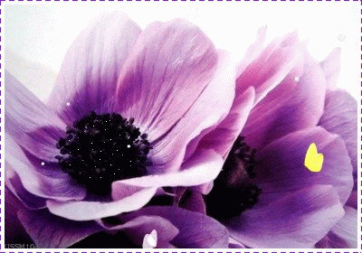 afd3cd562378.gif
