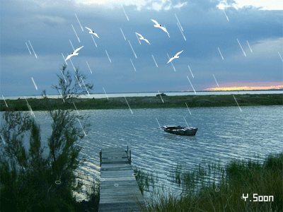 c035aabd6ab8.gif