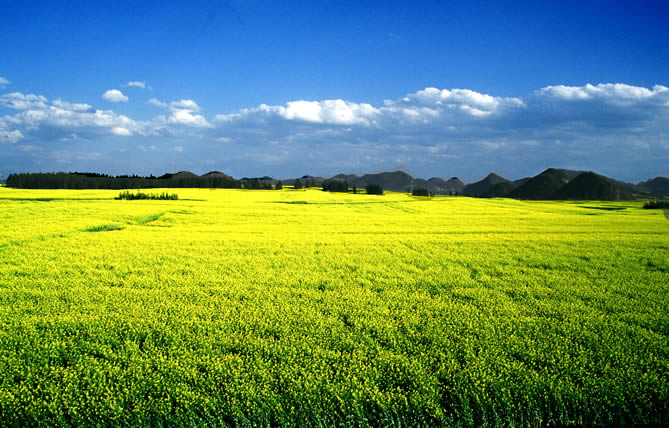 cahua1.jpg