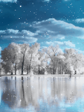 f0ca165e.gif