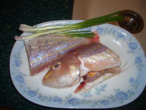 fish2.JPG