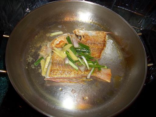 fish4.JPG