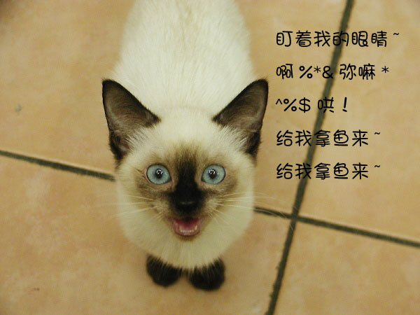 g2.jpg