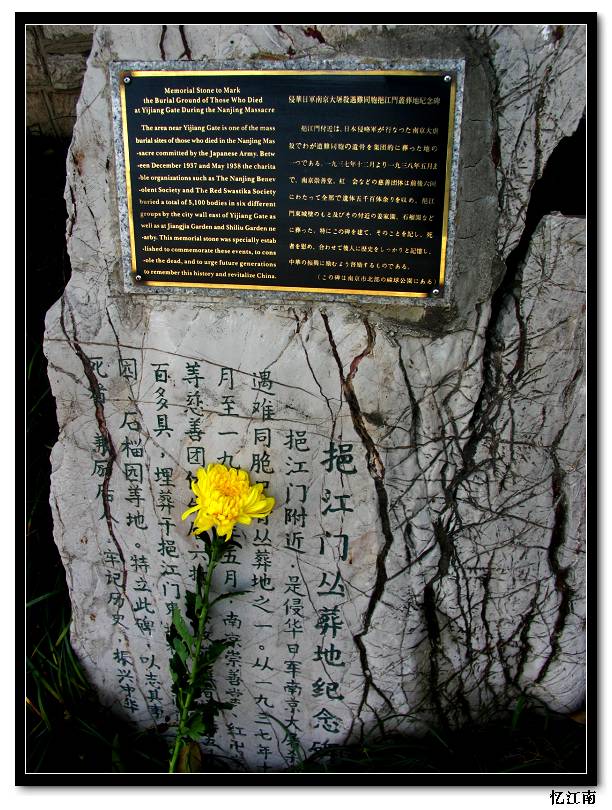 n10.jpg