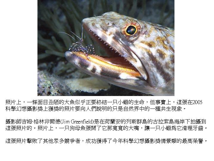 投影片1.JPG