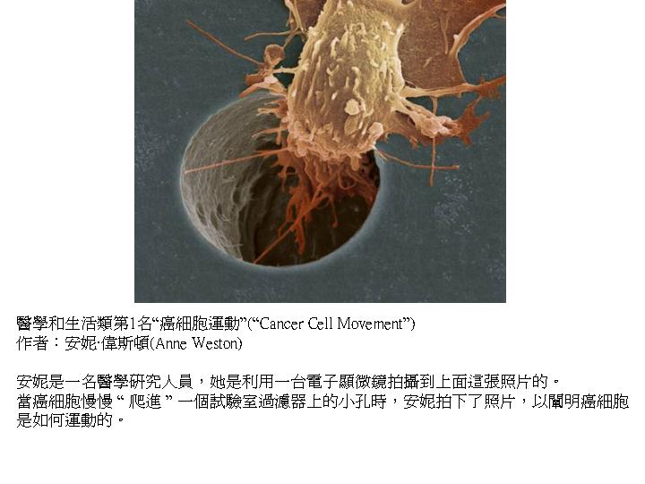 投影片2.JPG