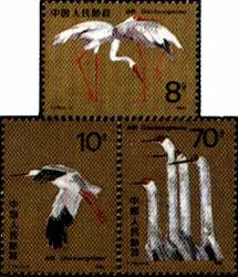 qh16_2.jpg