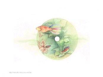 彩虹魚.jpg
