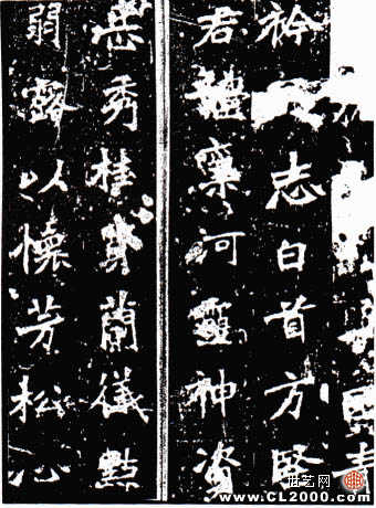 張猛龍碑-局部.jpg