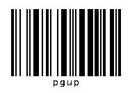 pgup.JPG