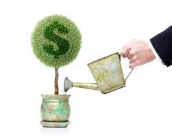 money-tree01.jpg