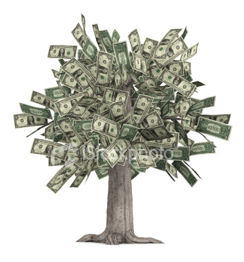 money-tree.jpg
