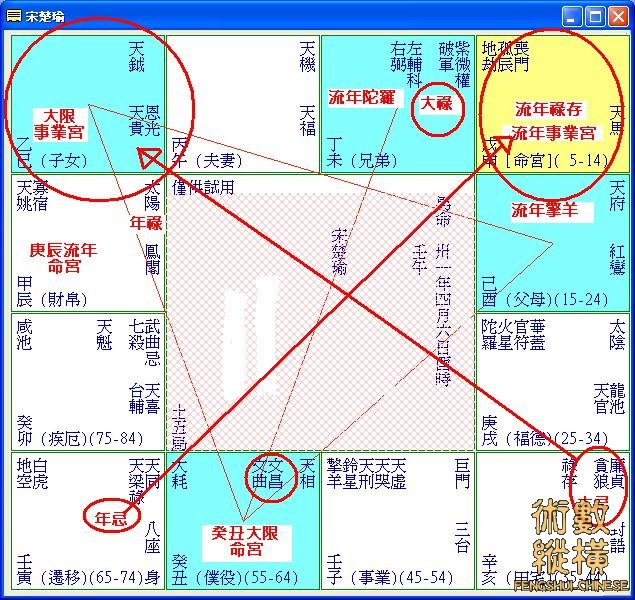 宋楚瑜先生癸丑限庚辰年命盤.JPG