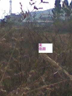 图像036.jpg