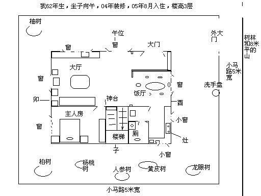 平面图