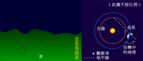 7.gif