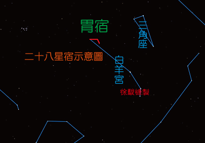 胃.jpg