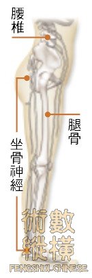 bone01.jpg
