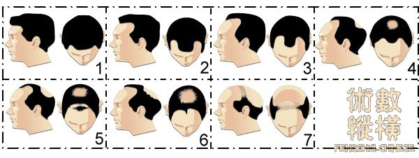 hair02.jpg