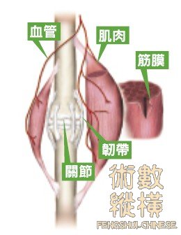 構造圖.jpg