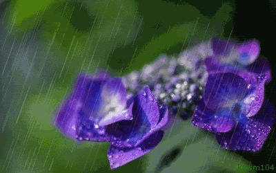 120_wZOT2nrF3fbL.gif