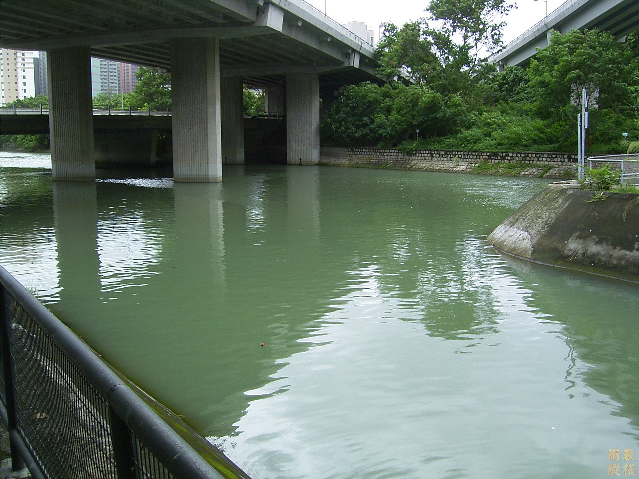 RIMG0005.JPG