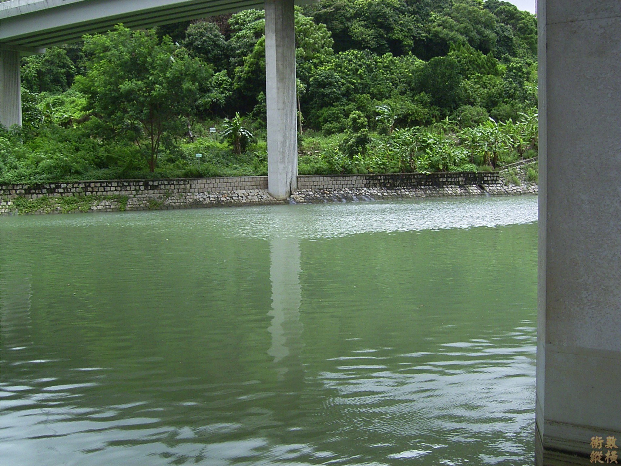 RIMG0007.JPG