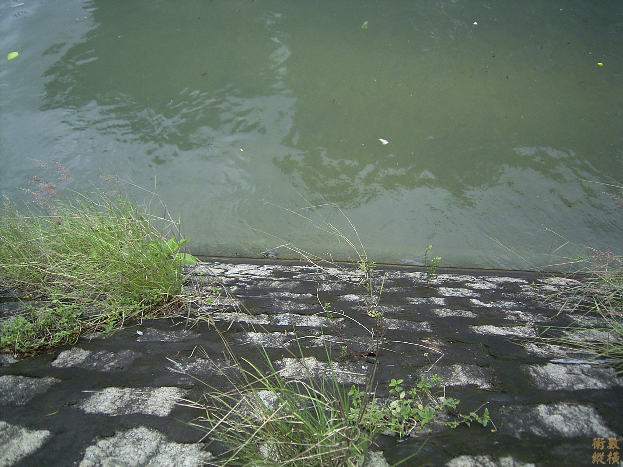 RIMG0008.JPG